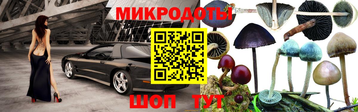 Галлюциногенные грибы Psilocybe Ангарск